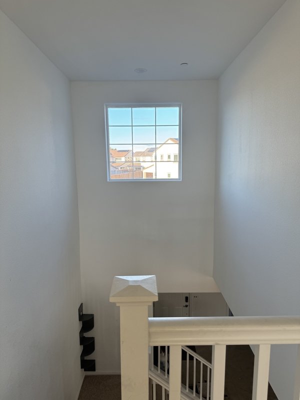 16172 Abernathy Ct property image