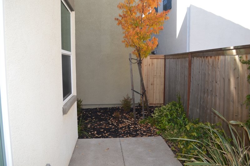 8876 Ariston Lane property image